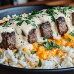 steak and queso rice