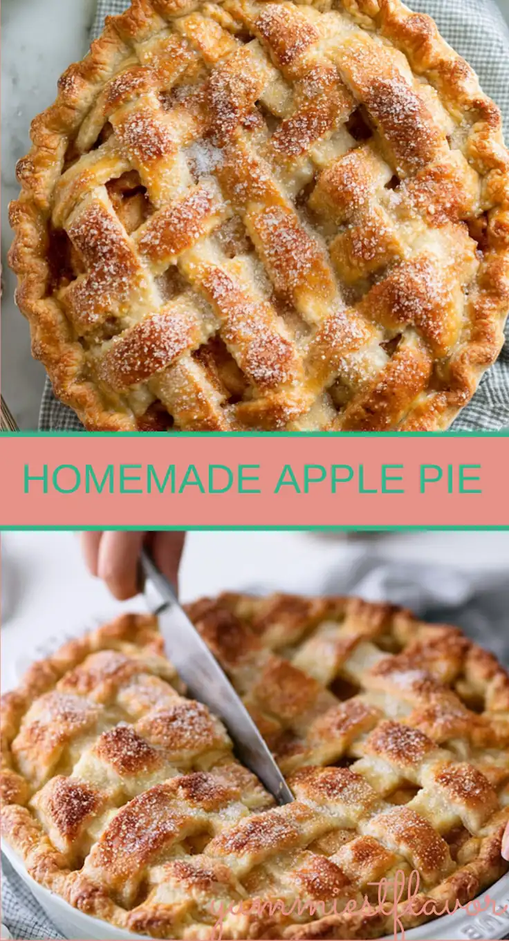 Homemade Apple Pie With a Flaky, Cinnamon-Spiced Filling 6 Homemade Apple Pie
